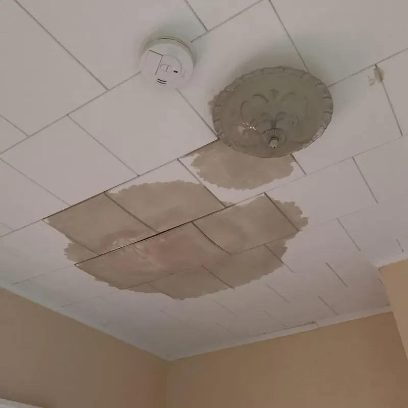 Ceiling Water Damage Repair in Flatlands, NY