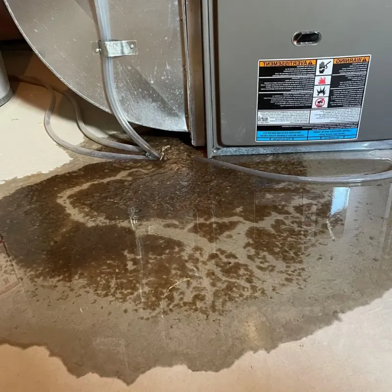 Pipe Burst and Leak Restoration in Flatlands, NY